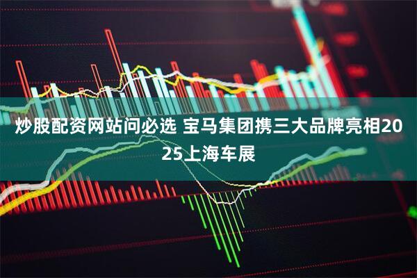炒股配资网站问必选 宝马集团携三大品牌亮相2025上海车展