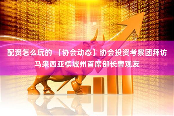 配资怎么玩的 【协会动态】协会投资考察团拜访马来西亚槟城州首席部长曹观友