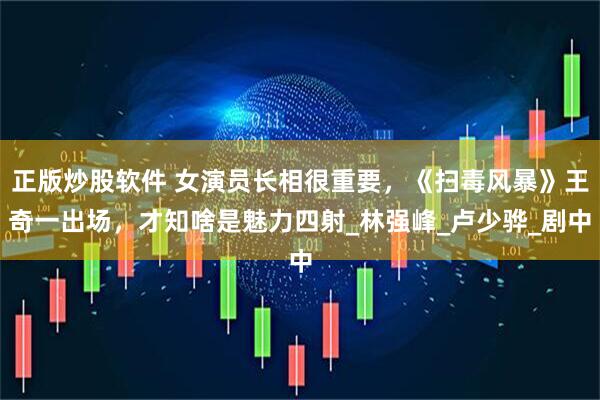 正版炒股软件 女演员长相很重要，《扫毒风暴》王奇一出场，才知啥是魅力四射_林强峰_卢少骅_剧中