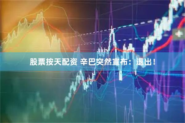 股票按天配资 辛巴突然宣布：退出！