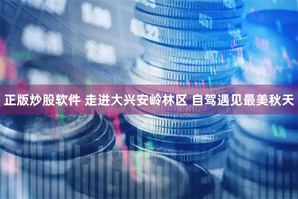 正版炒股软件 走进大兴安岭林区 自驾遇见最美秋天